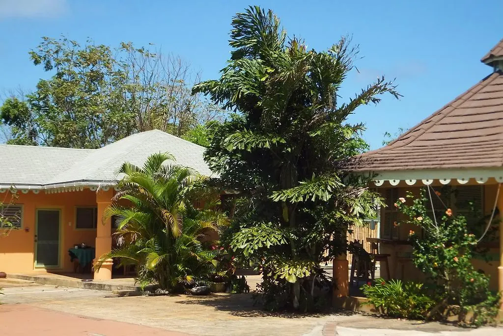Pimento Lodge Resort Long Bay 0*, Port Antonio Jamaica