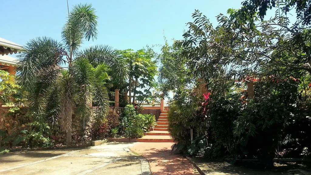 Pimento Lodge Resort Long Bay  Port Antonio