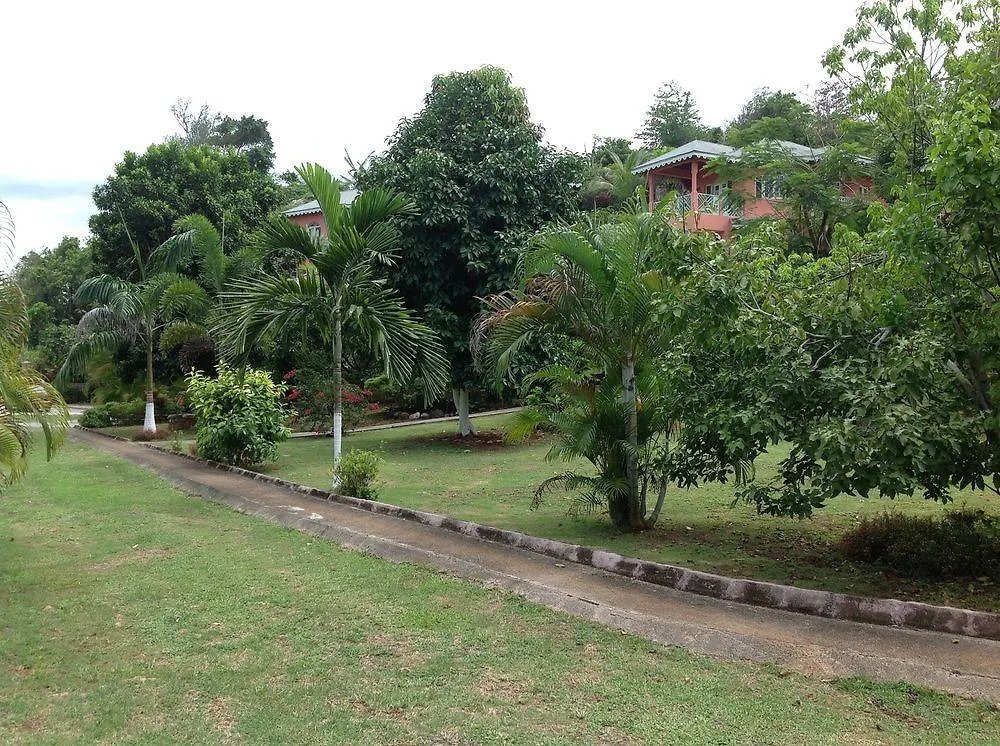 Pimento Lodge Resort Long Bay