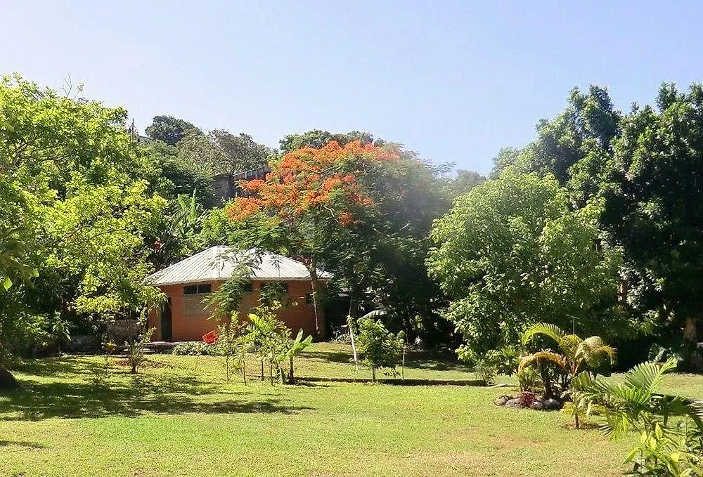 Pimento Lodge Resort Long Bay