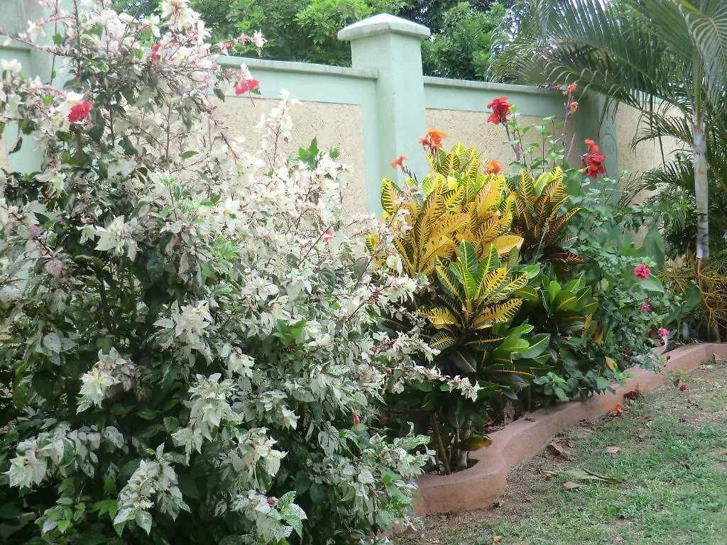 Pimento Lodge Resort Long Bay